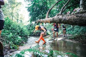 BIB: 
                            <button type="button" onclick="openModal(25439021)" class="btn btn-primary btn-sm float-right btn-popup" data-toggle="modal" data-target=".modal-high-quality">
                        <i class="fas fa-shopping-cart"></i> Add to Cart
                    </button>
                                            <button type="button" onclick="isThisMe(25439021, true)" class="btn btn-success btn-sm float-right btn-popup btn-isme hidden" data-toggle="tooltip" data-placement="bottom" title="นี่คือรูปของคุณใช่ไหม คลิกที่นี่เพื่อเอาเข้าอัลบั้ม">
                        <i class="fas fa-plus"></i> Add to album
                    </button>
                    <button type="button" onclick="isThisMe(25439021, false)" class="btn btn-warning btn-sm float-right btn-popup btn-isnotme hidden">
                        <i class="fas fa-ban"></i> Remove from album
                    </button>